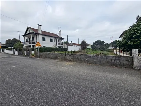Real Estate