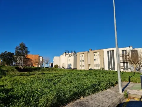 Terreno para Construção de 6 Fogos em Carregal do Sal