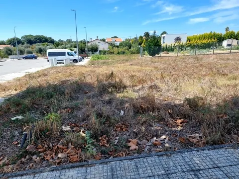 Terreno para Construção de 6 Fogos em Carregal do Sal