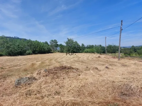 Terreno Rústico em Fornos de Algodres