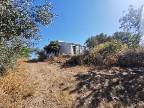 Boerderij 2 kamerwoning