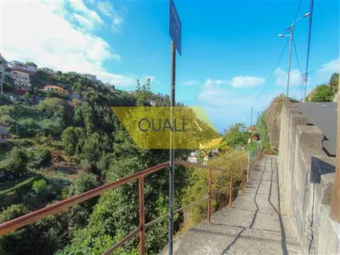 Terreno no Funchal - Ilha da Madeira -  € 110.000,00