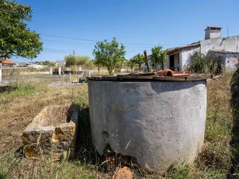 Moradia com Garagem, Anexo e Poço no Nadadouro