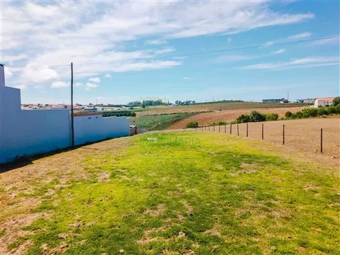 Terrain avec potentiel de construction près d´Alcobaça