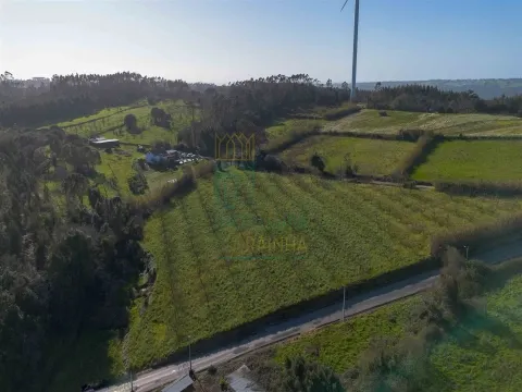 Terrain de 13 000 m² à Cela Nova, Alcobaça