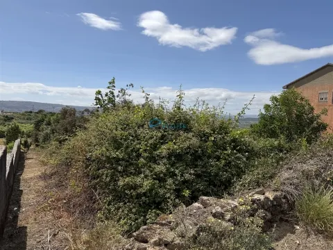 Terreno para construção em Sanfins do Douro, Alijó