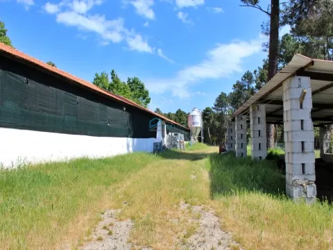 Terreno com exploração de cunicultura