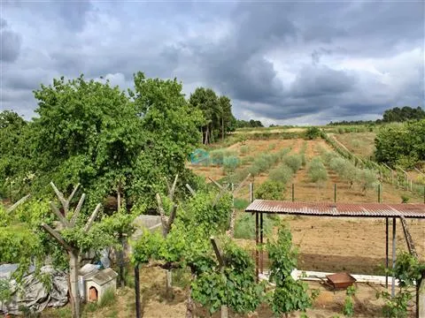 finca 4 habitaciones