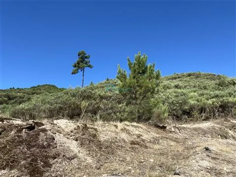 Terreno com excelentes vistas sobre Vila Real