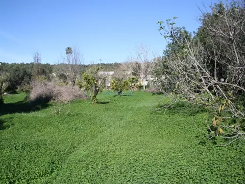 Building plot for 2 individual villas with Pool