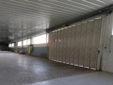 ARMAZÉM, VENDA, TROFA