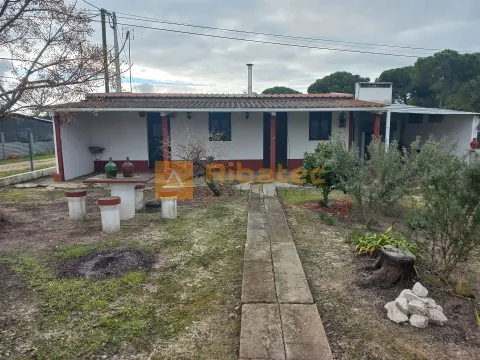 Real Estate building