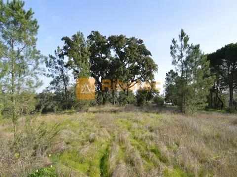 Terreno para construção no Valverde