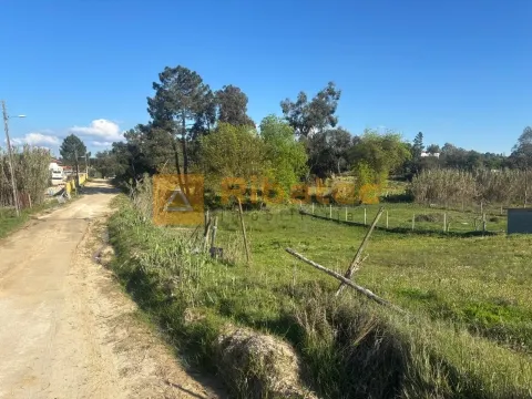 Terreno em Marinhais