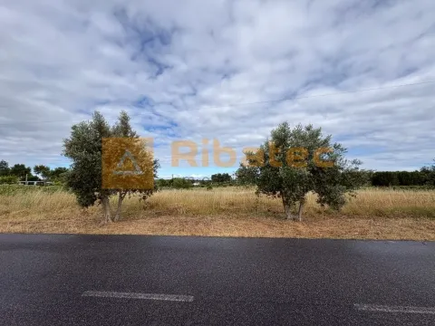Real estate land
