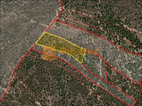 Rustico Terreno