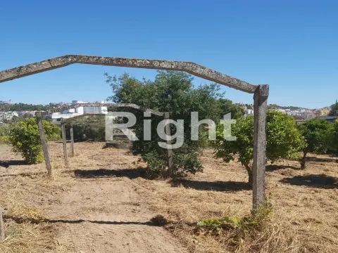 Piece of Real Estate