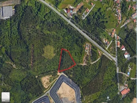 Excelente terreno rústico com PDM previsto para Terreno Industrial - 9.800 m2