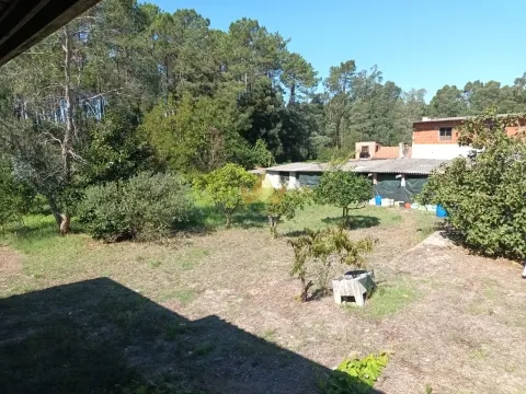 1,250 m² Rustic Land for Sale in Marinha Grande