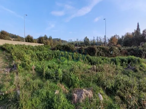 Terreno em Ruivães - V. N. Famalicão