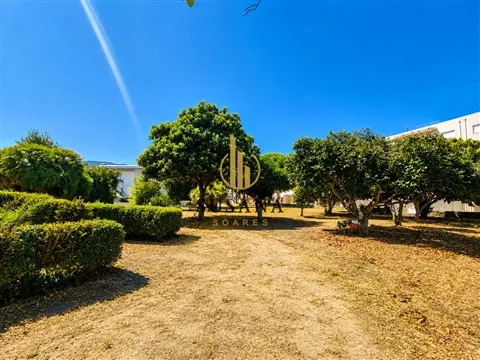 img_6