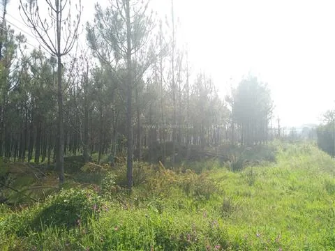 Terreno Para Construção