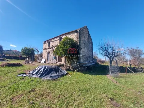 Quintinha T0, Viseu, Mangualde