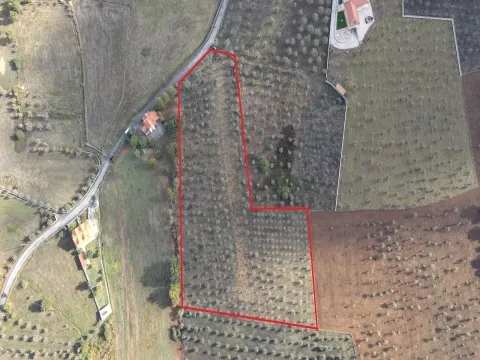 Terreno de 13.120 m² em Santa Comba, Seia