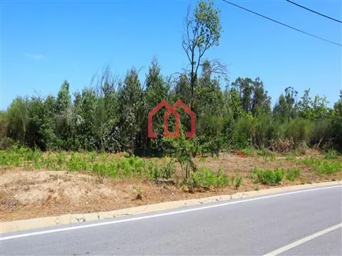 Terreno Para Construção