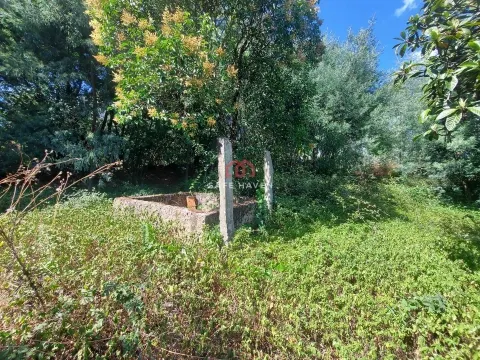 Liten gård 0 Sovrum