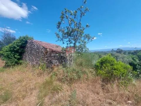 Liten gård 0 Sovrum