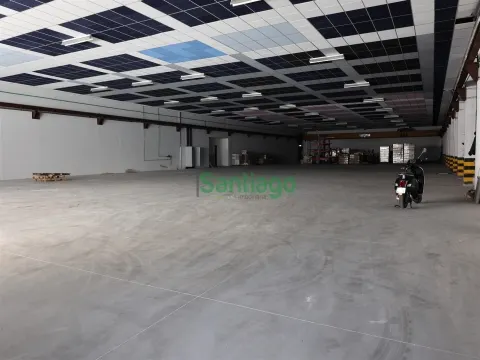 Magazzino