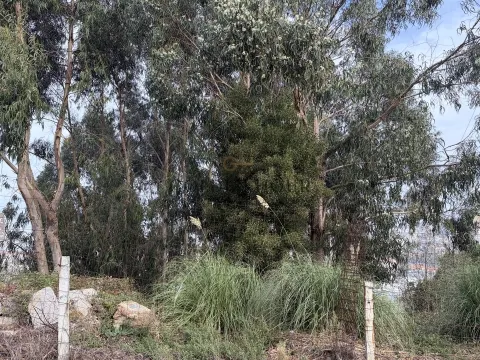 Terreno Para Construção