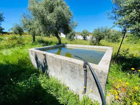 Land 15 minutes from Castelo Branco