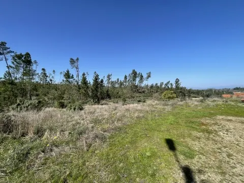 terreno-versadas-sarzedas-venda