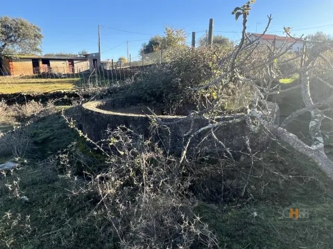 Venda Quintinha- Retaxo