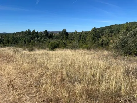 Terrain rural