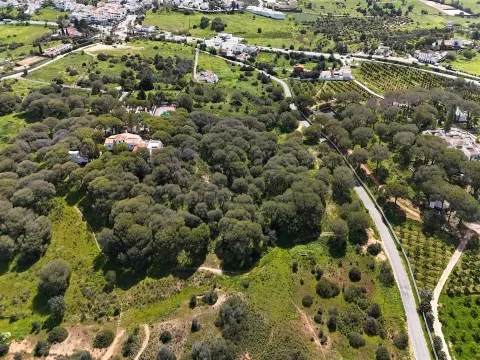 Terreno Rústico, Porches, Lagoa