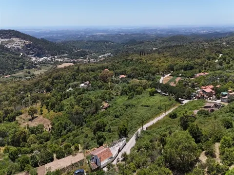 Terreno com Ruína, em Corte Pereiro, Monchique, Algarve
