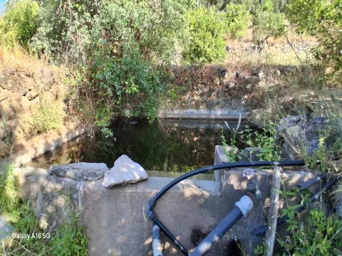 Scrapped Building T2