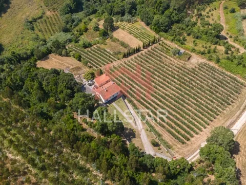 Einfamilienhaus 3 Schlafzimmer