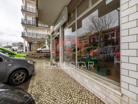 Tienda 1 habitación