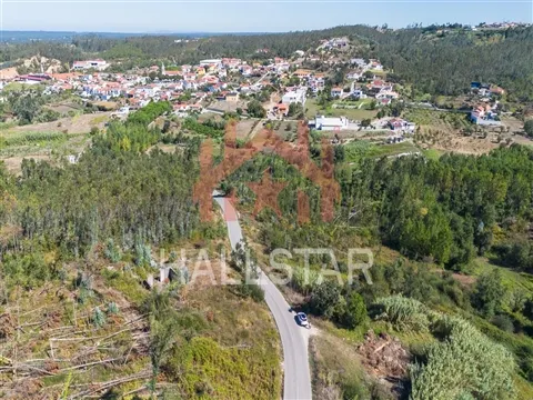 Lote de Terreno para Construção / 2.770m2 / Souto da Carpalhosa