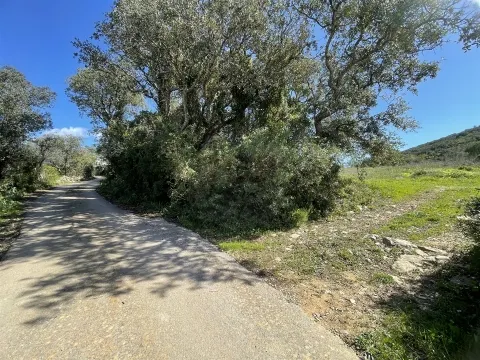 Terreno Rústico para Venda em Santa Bárbara de Nexe