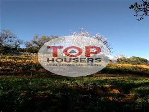 Terrain Rustique - Certification Biologique - 7ha