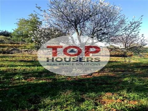 Terrain Rustique - Certification Biologique - 7ha