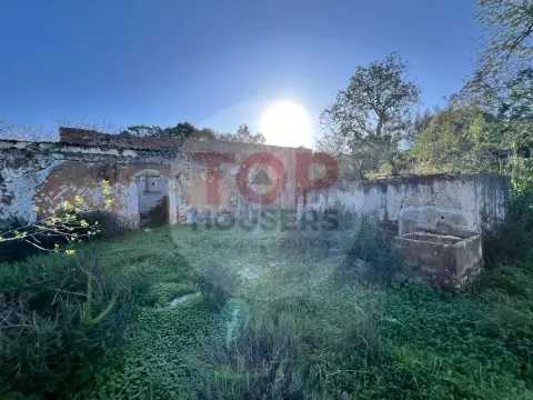 Land with Ruin (T3) - Goldra de Baixo - Santa Bárbara de Nexe