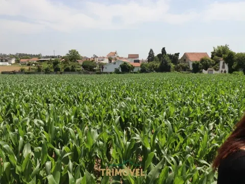 img_1