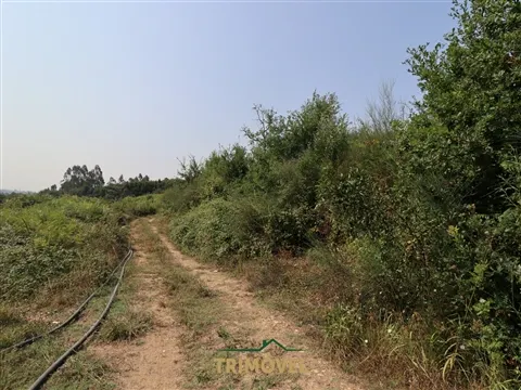 Terreno Para Construção