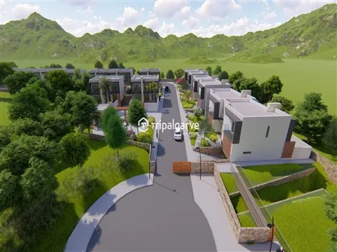 img_12